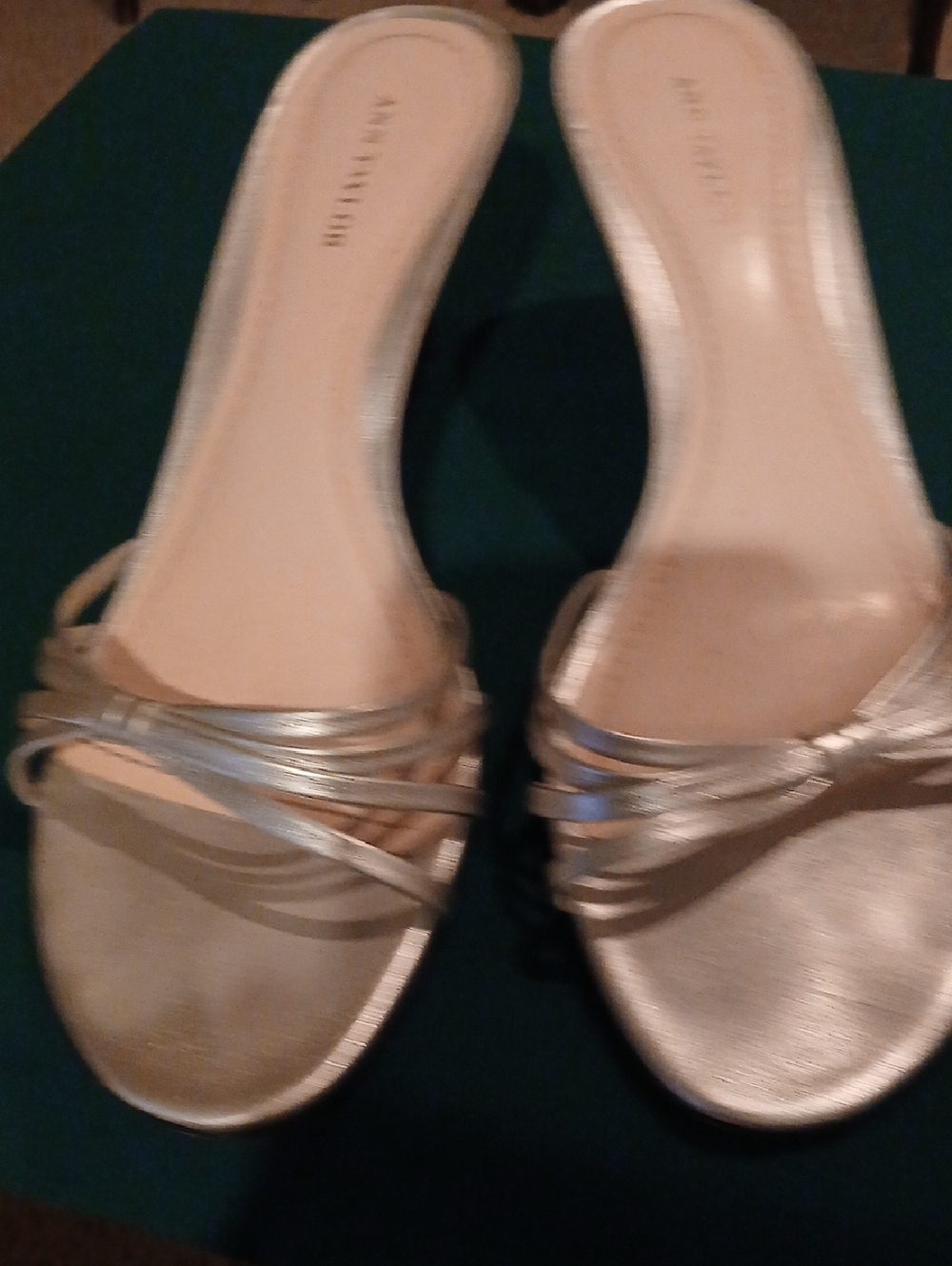 Ann Taylor Silver Strappy Slide Mules